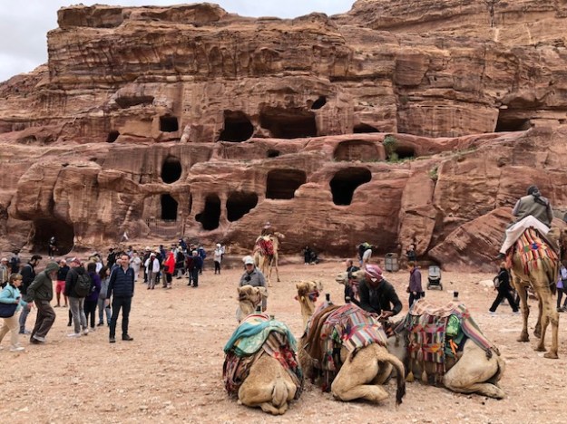 Petra Camels