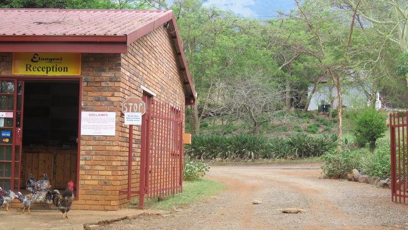 IMG_2971 Elangeni 2019-11-13 7-56-00 AM