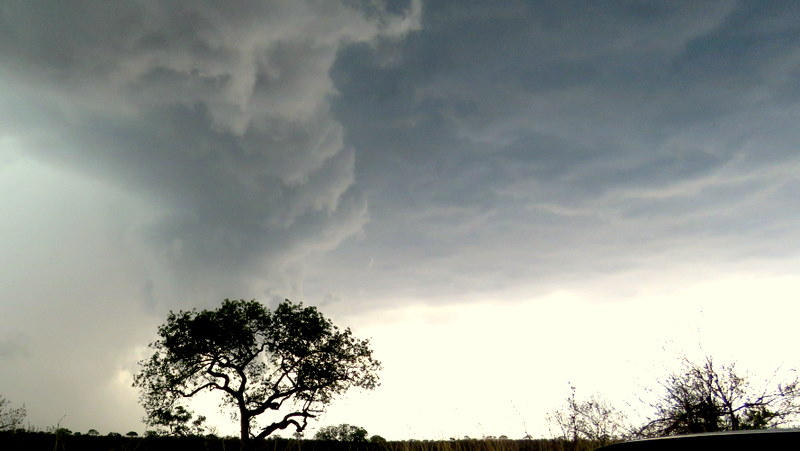 IMG_3174 Storm clouds gathering 2019-11-14 2-25-41 PM