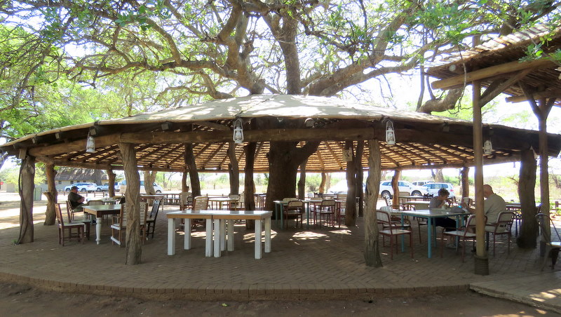 IMG_3542 Tshokwane 2019-11-17 9-16-04 AM