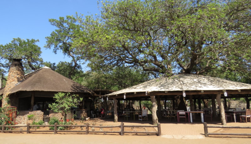 IMG_3545 Tshokwane 2019-11-17 9-17-38 AM.JPG