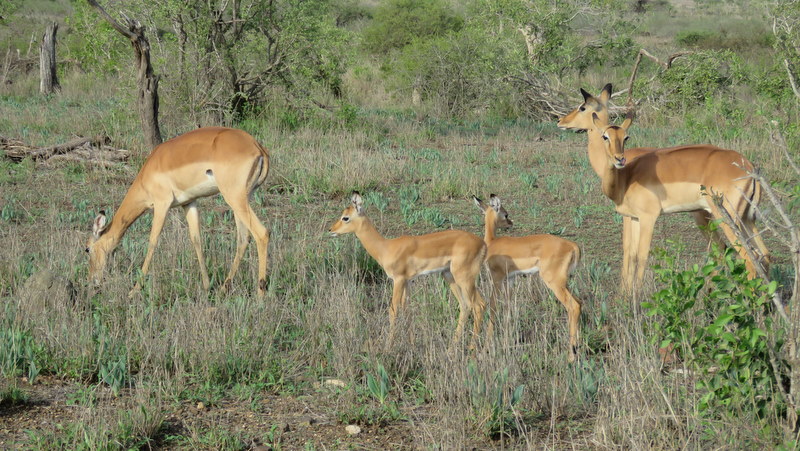 IMG_4532 Imapa Moms and Babies 2019-11-21 4-35-53 PM