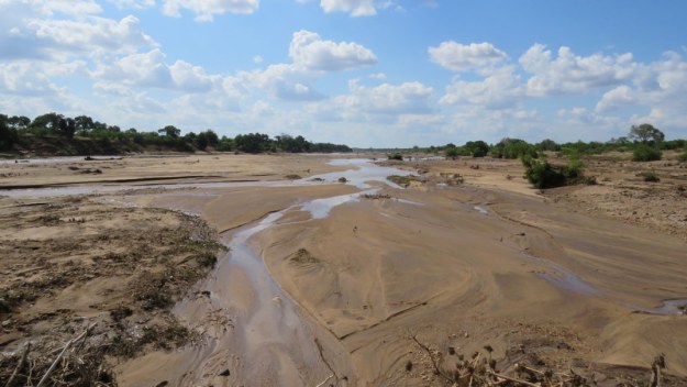 IMG_5274 Letaba River 2019-11-26 2-45-28.JPG
