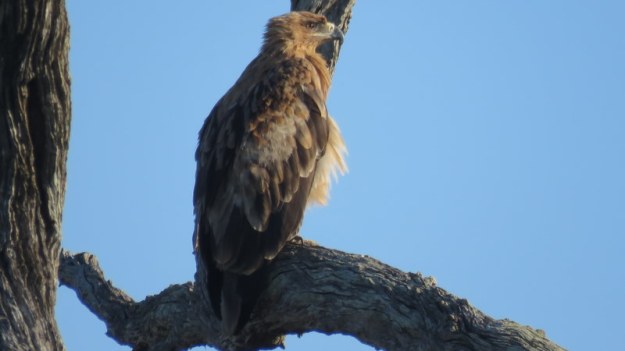 IMG_6436 Whalberg 2019-12-03 6-20-05 AM