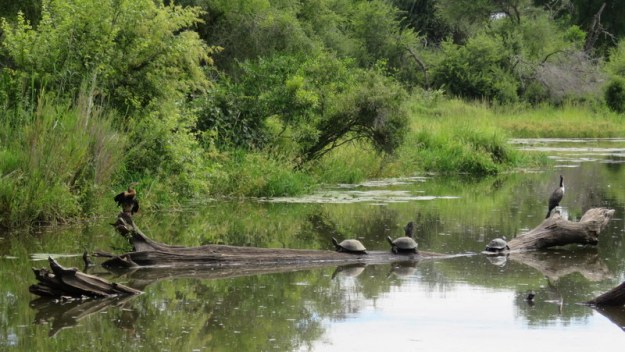 IMG_9058 Lake Panic 2020-02-13 9-23-03 AM